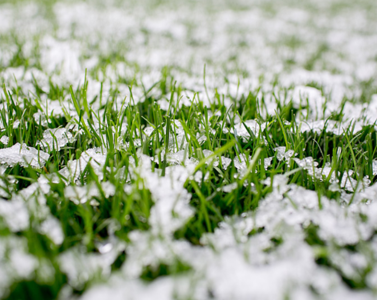 Preparing Your Lawn for Winter: Essential Tips for Cold-Weather Care