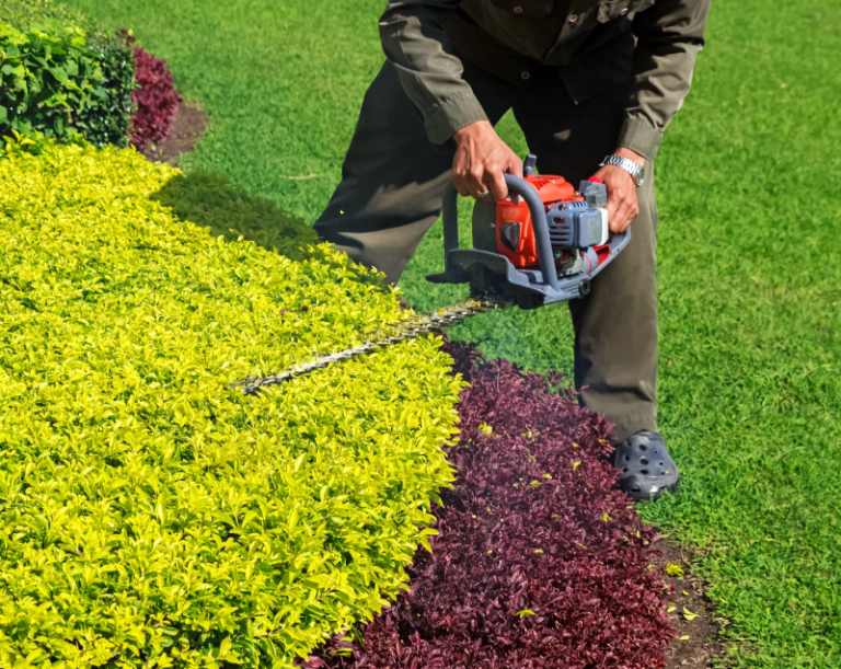 How to Create a Low-Maintenance Garden That Still Looks Gorgeous